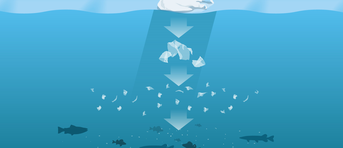 Illustration över hur plast delar sig till mikroplast i havet